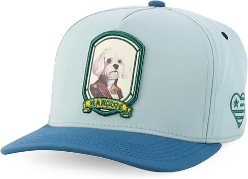 متجر الملابس العصرية لطيف الكلب تصميم مطرز 5 لوحة 2 لهجة قبعة Snapback in Kuwait