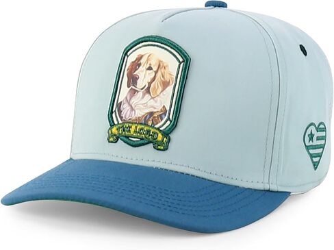 متجر الملابس العصرية لطيف الكلب تصميم مطرز 5 لوحة 2 لهجة قبعة Snapback in Kuwait