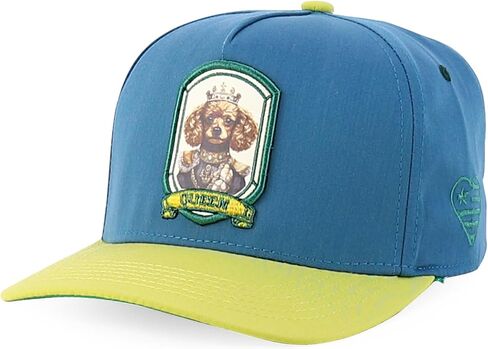متجر الملابس العصرية لطيف الكلب تصميم مطرز 5 لوحة 2 لهجة قبعة Snapback in Kuwait