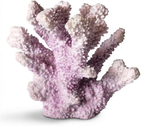 White Coral Decor Resin Sculpture, 7.1 Inch Nautical Home Accent for Shelf Tabletop or Cabinet, Stylish Beach Decor, Coastal Decor & Ocean Decor for Bedroom Living Room in Kuwait