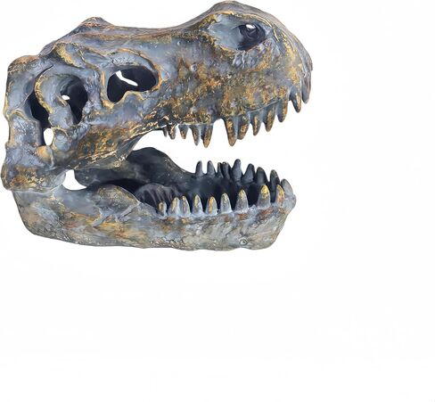 T-rex Skull Dinosaur Head Trophy Faux Taxidermy Fossil Figurine Tyrannosaurus Rex Skull Sculpture Home Desktop Decor Dinosaur Fossil Replica in Saudi Arabia