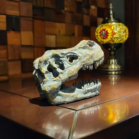 T-rex Skull Dinosaur Head Trophy Faux Taxidermy Fossil Figurine Tyrannosaurus Rex Skull Sculpture Home Desktop Decor Dinosaur Fossil Replica in Saudi Arabia
