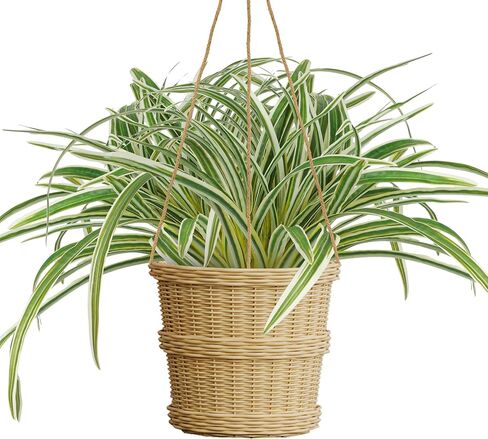 2 Packs Artificial Spider Plant Large 23.6In Fake Greenery Plants UV Resistant Outside Faux Plants Bushes for Indoor Table Outdoor Planter Decor (2) in Saudi Arabia