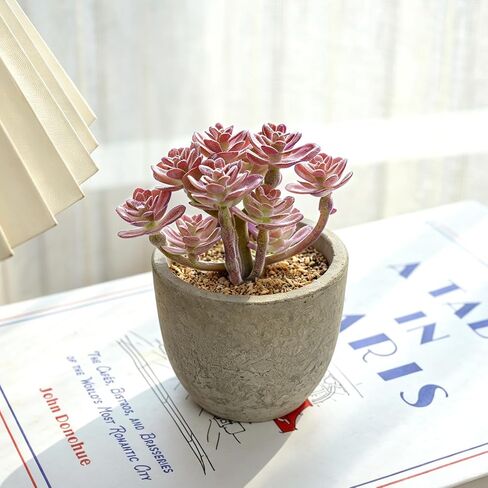 6 Pack Small Fake Plants, Artificial Plants Indoor Eucalyptus/Four-Leaf Clover/Succulent Light Purple/Succulent Blue/Thousand Layer Grass, Snake Tongue Grass Plants, For Home Bathroom Office Decor in Saudi Arabia