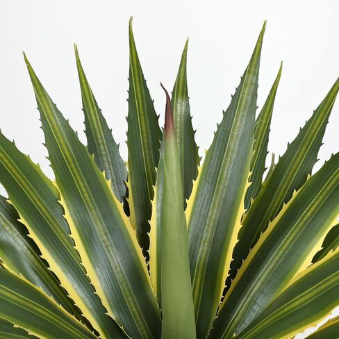 Hollyone 21 Inch Artificial Agave Plants Large Size Fake Agave Plant Stems Realistic UV Resistant Faux Succulent Crafting DIY Greenery Unpotted for Indoor Outdoor Home Decor, Set of 2 in Kuwait