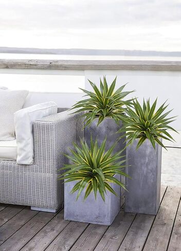 Hollyone 21 Inch Artificial Agave Plants Large Size Fake Agave Plant Stems Realistic UV Resistant Faux Succulent Crafting DIY Greenery Unpotted for Indoor Outdoor Home Decor, Set of 2 in Kuwait