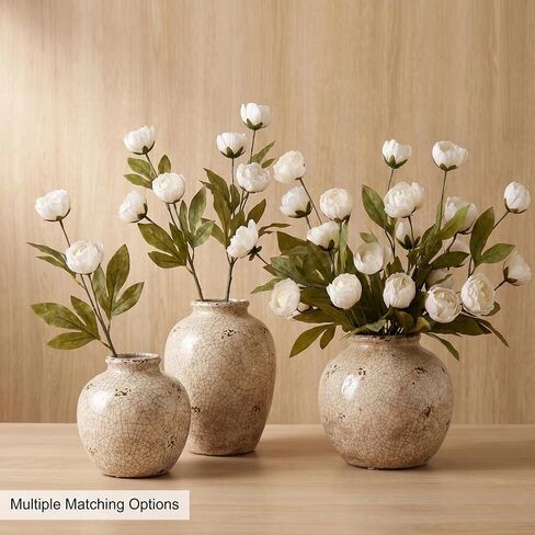 Faux Silk Peony, Artificial Peonies Flowers, Large Silk Peonies with Stems, Fake Flower for Decor Wedding Centerpieces Tables, 27 inch 6 PCS in Saudi Arabia