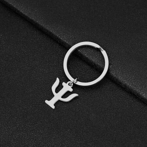 2 Pack Psi Symbol Keychain – Gold & Silver Stainless Steel Key Rings for Psychology Enthusiasts, Scientists, and Those Seeking Inner Balance in Saudi Arabia