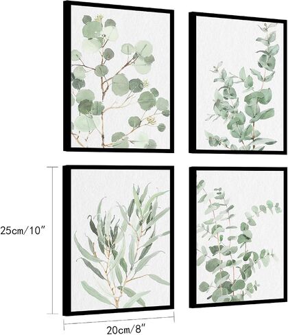 Botanical Prints Wall Art Framed: Sage Green Modern Farmhouse Wall Decor - Boho Wall Art for Bathroom Bedroom - Eucalyptus Nature Plant Pictures Minimalist Room Decor Aesthetic 8x10x4 in Kuwait