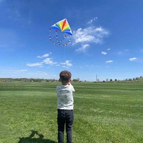Large Beach Delta Kite for Adults and Kids Ages 8-12 & 4-8,Easy to Fly Kite for Beginners and Toddlers(2 Packs),Single Line Kite Come with 300ft String Handle in Kuwait