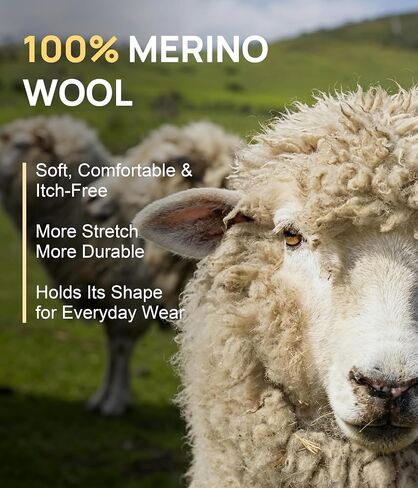5 Pack Merino Wool Underwear Women, Breathable Wool Panties Mid-Rise Moisture Wicking Wooly Briefs Hiking Travel in Saudi Arabia