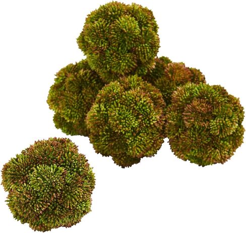 Nearly Natural 4in. Sedum Artificial Succulent Artificial Spheres (Set of 6) in Kuwait