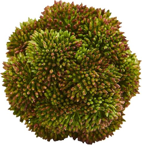 Nearly Natural 4in. Sedum Artificial Succulent Artificial Spheres (Set of 6) in Kuwait