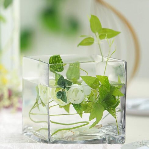 6 pcs 6-Inch Tall Clear Glass Cube Vases for Wedding Centerpieces | 6 Inches Planter Flowers Container for Party Event Home Decorations Cheap Bulk Supplies for Reception & Table Display in Saudi Arabia