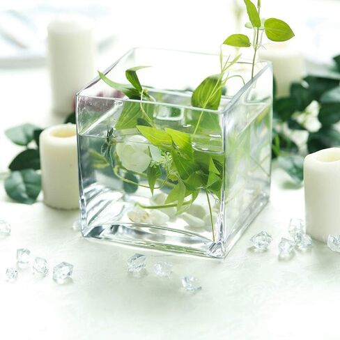 6 pcs 6-Inch Tall Clear Glass Cube Vases for Wedding Centerpieces | 6 Inches Planter Flowers Container for Party Event Home Decorations Cheap Bulk Supplies for Reception & Table Display in Saudi Arabia