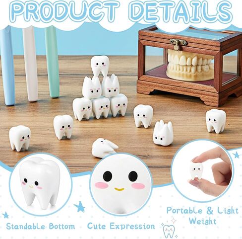Vicenpal 40 Pcs Dental Graduation Gifts Bulk Cute Mini Resin Standable Tooth Figurine Funny Desktop Decor for Dentist Hygienist Assistant Student National Dental Care Awareness in Kuwait