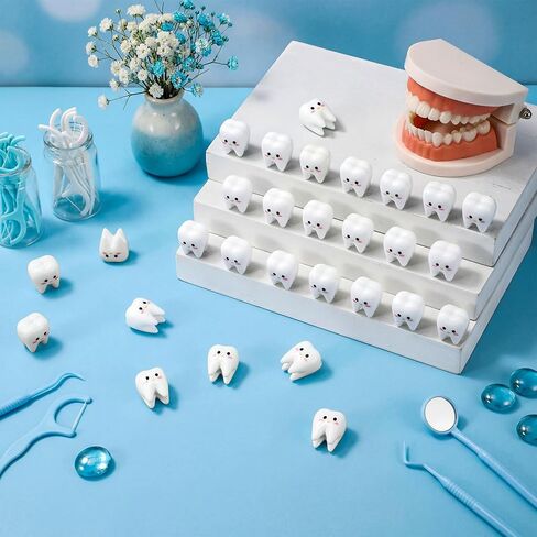 Vicenpal 40 Pcs Dental Graduation Gifts Bulk Cute Mini Resin Standable Tooth Figurine Funny Desktop Decor for Dentist Hygienist Assistant Student National Dental Care Awareness in Kuwait