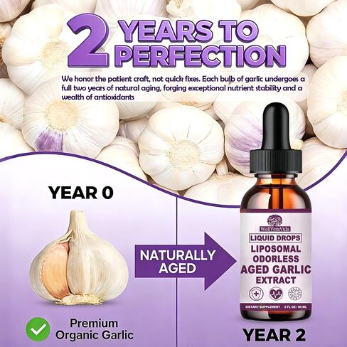 Aged Garlic Extract Liquid Drops, Organic Odorless Garlic Supplements for Immune Circulation & Heart Health Support, 2 Years Aged Garlic 15:1 Herbal Formula丨Vegetarian All-Natural Non-GMO, 2Fl Oz in Saudi Arabia