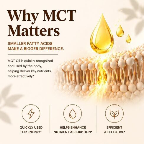 كبسولات القرفة السيلانية من Metabolae مع زيت MCT، 300 كبسولة هلامية | 12:1 مستخلص عالي الفعالية، مكملات القرفة الحقيقية، امتصاص عالي، غير معدل وراثيًا، دعم يومي للتمثيل الغذائي ومضادات الأكسدة in Kuwait