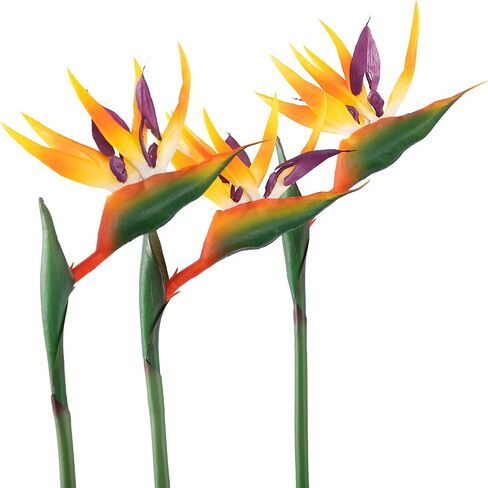 Artificial Bird of Paradise Flowers Rubber Strelitzia 32'in Long Stem Flower 3 Pcs,Suitable for DIY Home Decor Party Theme Display (Orange) in Saudi Arabia