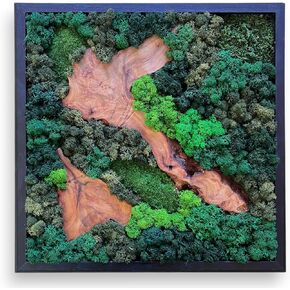 Serenzy 16" Square Cedar & Preserved Moss Wall Art | Unique No-Maintenance Decor for Home, Office, Restaurant, Angled Wood in Saudi Arabia