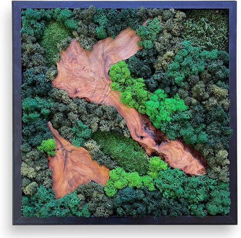 Serenzy 16" Square Cedar & Preserved Moss Wall Art | Unique No-Maintenance Decor for Home, Office, Restaurant, Angled Wood in Saudi Arabia