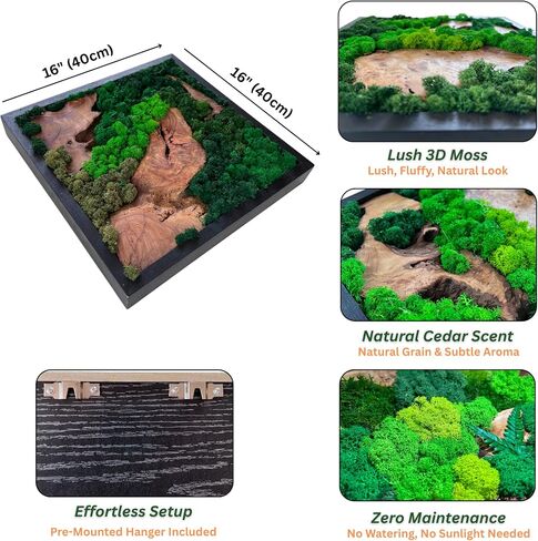 Serenzy 16" Square Cedar & Preserved Moss Wall Art | Unique No-Maintenance Decor for Home, Office, Restaurant, Angled Wood in Saudi Arabia