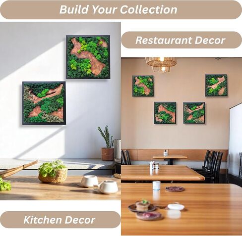 Serenzy 16" Square Cedar & Preserved Moss Wall Art | Unique No-Maintenance Decor for Home, Office, Restaurant, Angled Wood in Saudi Arabia