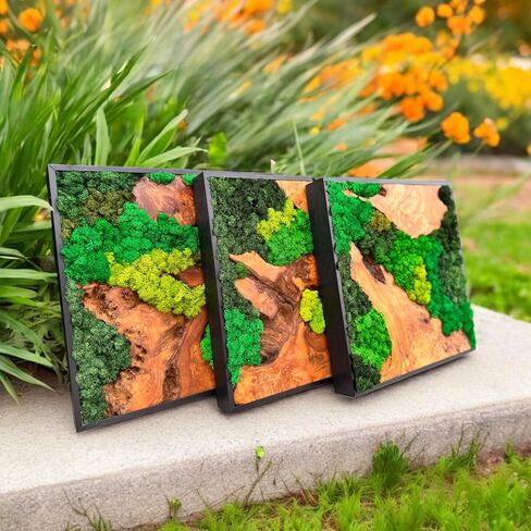 Serenzy 16" Square Cedar & Preserved Moss Wall Art | Unique No-Maintenance Decor for Home, Office, Restaurant, Angled Wood in Saudi Arabia