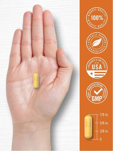 Carlyle Turmeric Curcumin Supplement 2400mg | 180 Powder Capsules | Herbal Formula | Non-GMO, Gluten Free in Saudi Arabia