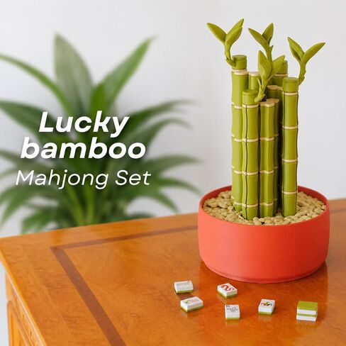 Lucky Bamboo Mahjong Set, Mini Mahjong Tiles with Imitation Bamboo Tile Racks, Portable Travel for OutdoorCamping in Kuwait