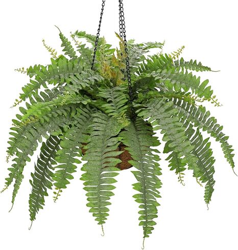 GnFlus Large Fake Hanging Plants Mixed Fern Faux Hanging Plants Realistic Fake Plants with Hemp Rope Moss Artificial Hanging Plants Indoor for Home Bedroom Bathroom Porch Wall Window Sill Decor in Kuwait