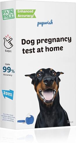 Dog Pregnancy Test Kit, Needle-Free Painless At Home Detection, 98% High Accuracy, Fast & Safe Canine Pregnancy Test for Dogs in Kuwait