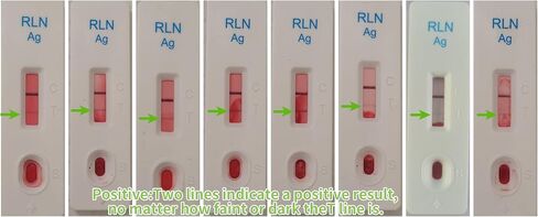 Dog Pregnancy Test Kit, Needle-Free Painless At Home Detection, 98% High Accuracy, Fast & Safe Canine Pregnancy Test for Dogs in Kuwait