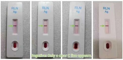 Dog Pregnancy Test Kit, Needle-Free Painless At Home Detection, 98% High Accuracy, Fast & Safe Canine Pregnancy Test for Dogs in Kuwait