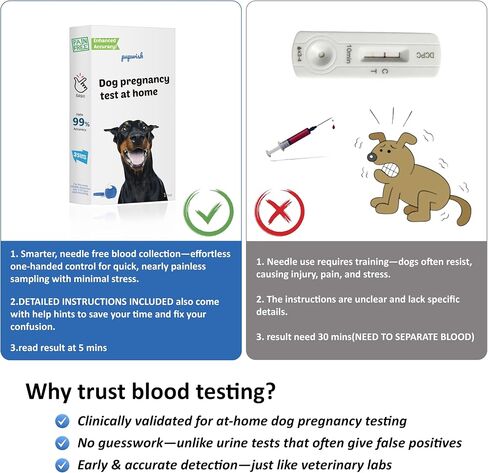 Dog Pregnancy Test Kit, Needle-Free Painless At Home Detection, 98% High Accuracy, Fast & Safe Canine Pregnancy Test for Dogs in Kuwait