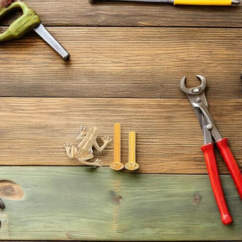 HOMSFOU Brass Frog-Shaped Drawer Handle Animal Knob Vintage Brass Frog Pull for Bedroom Wardrobe Closet Door Decorative Furniture Hardware in Kuwait