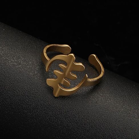 Africa Map Corss Symbol Ring Stainless Steel Adinkra Gye Nyame African Women Jewelry in Kuwait