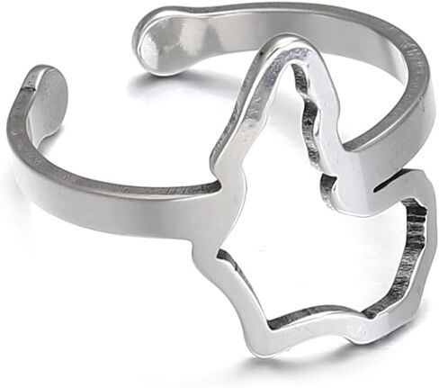 Africa Map Corss Symbol Ring Stainless Steel Adinkra Gye Nyame African Women Jewelry in Kuwait
