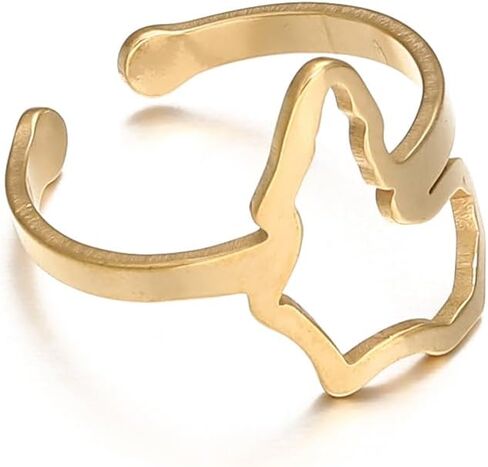 Africa Map Corss Symbol Ring Stainless Steel Adinkra Gye Nyame African Women Jewelry in Kuwait