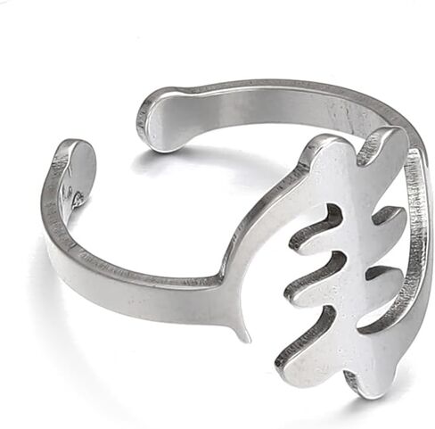 Africa Map Corss Symbol Ring Stainless Steel Adinkra Gye Nyame African Women Jewelry in Kuwait