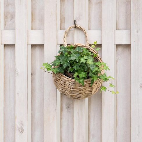 DOITOOL 2 Pcs Hanging Wicker Baskets for Wall, Semi Circular Rattan Hanging Planter Woven Flat Back Wall Mounted Fruit Basket Decor for Indoor Plant Flower Fruit Kitchen Storage in Kuwait