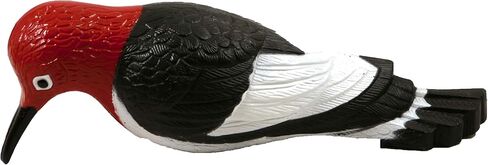 Cherry Valley Woodpecker Tree Ornament, Multi-Colored, Vinyl, Resin, 0.15 Pounds in Kuwait