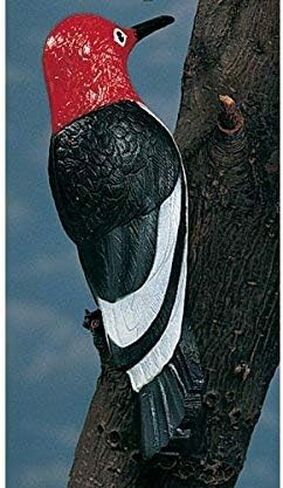 Cherry Valley Woodpecker Tree Ornament, Multi-Colored, Vinyl, Resin, 0.15 Pounds in Kuwait