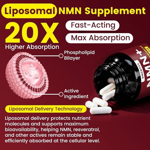 مكمل Liposomal NMN 1500 مجم، مكمل NMN بديل Liposomal NMN مع NAD، كيرسيتين، TMG، ريسفيراترول يدعم مستوى الطاقة وNAD، غير معدل وراثيًا، نباتي، تم اختباره من قبل طرف ثالث، 120 كبسولة نباتية in Kuwait