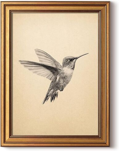 InSimSea Vintage Gold Framed Hummingbird Wall Art, Minimalist Birds Sketch Canvas Print for Living Room Bedroom Bathroom, Farmhouse Animal Painting Home Decor Gift, 12x16 inch in Saudi Arabia