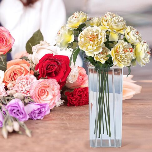 Asking 6 Pack Tall Square Acrylic Flower Vase, Clear Plastic Centerpiece Vases for Table, 4" x 4" x 9" in Saudi Arabia