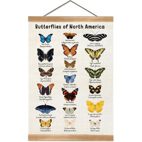 Vintage Butterfly Poster, North American Butterfly Wall Decor,Educational Linen Wall Art with Wood Frame, Nature Learning Hanging Banner for Homeschool, Classroom, Nursery, or Playroom Decor,12x16inch in Saudi Arabia