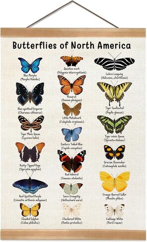 Vintage Butterfly Poster, North American Butterfly Wall Decor,Educational Linen Wall Art with Wood Frame, Nature Learning Hanging Banner for Homeschool, Classroom, Nursery, or Playroom Decor,12x16inch in Saudi Arabia