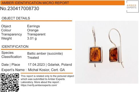 Genuine Baltic Honey Amber Rectangular Drop Earrings in 925 Sterling Silver – Kidney Hook Dangle Earrings for Women, Handcrafted in Poland in Saudi Arabia
